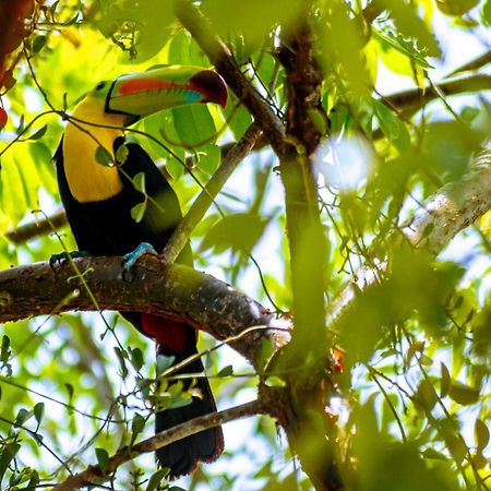 Ecolodge El Sombrero Laguna Yaxha Luaran gambar