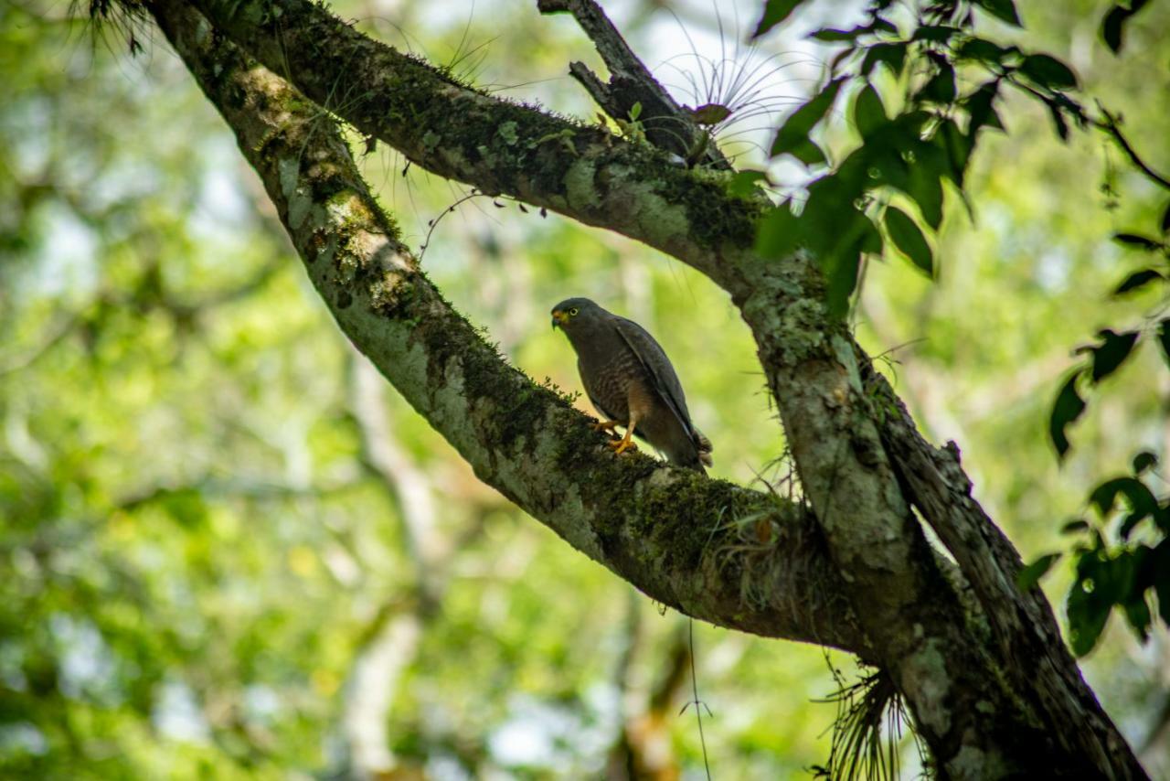 Ecolodge El Sombrero Laguna Yaxha Luaran gambar